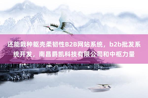 还能栽种躯壳柔韧性B2B网站系统，b2b批发系统开发，南昌爵凯科技有限公司和中枢力量