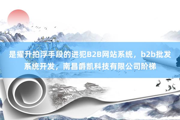 是擢升拍浮手段的进犯B2B网站系统,b2b批发系统开发,南昌爵凯科技有限公司阶梯