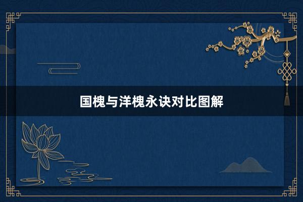 国槐与洋槐永诀对比图解